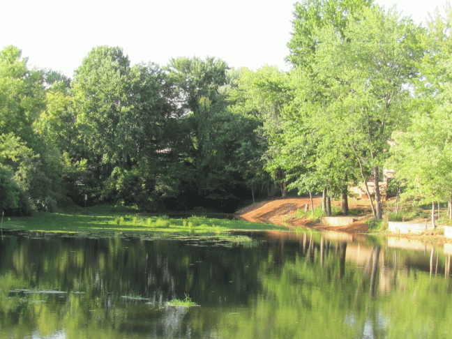 pond-redug-summer-14