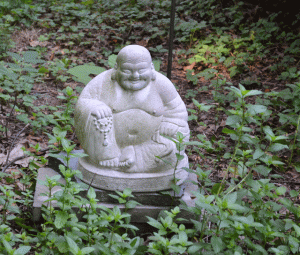 buddha in jules garden