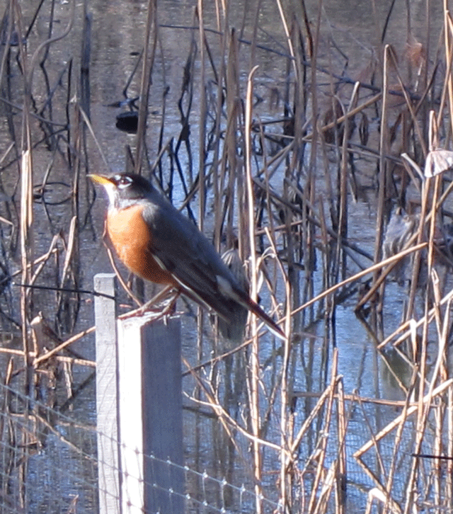 IMG_0639---Copy_edited-1