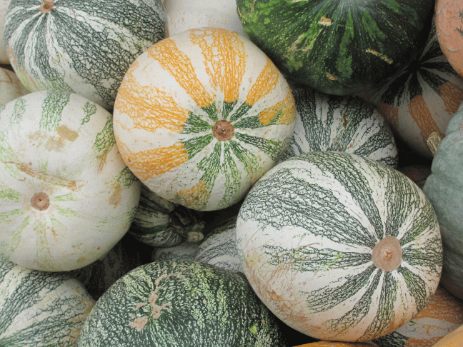 whole-foods-squash