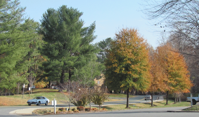 four-season-drive-fall-2011