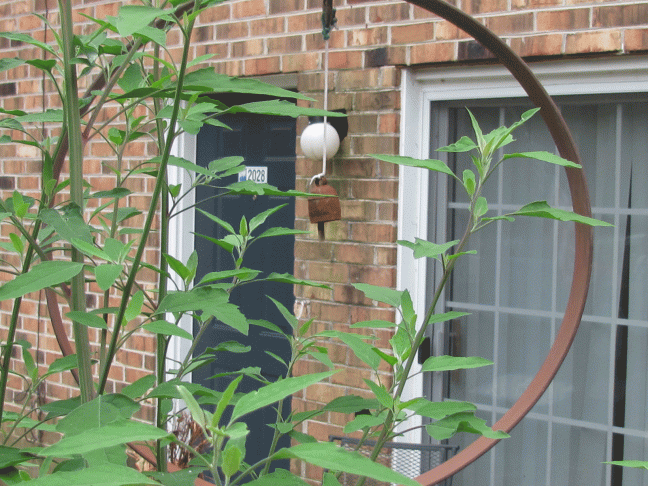 perfect-circle-patio-orname