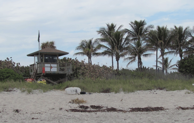 IMG_1237---Copy---Copy_edit